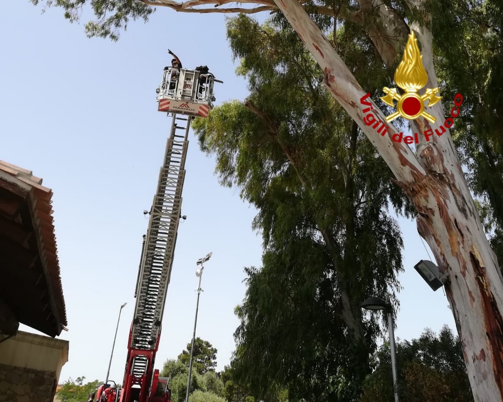 Villaspeciosa, rami pericolanti nel parco: intervengono i vigili del fuoco