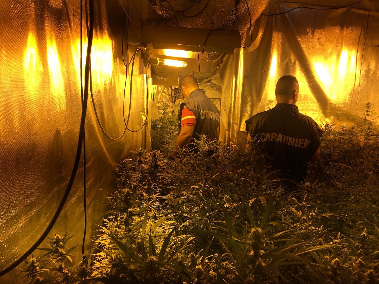 Elmas: in casa armi, banconote e una “serra” di droga per 100mila euro