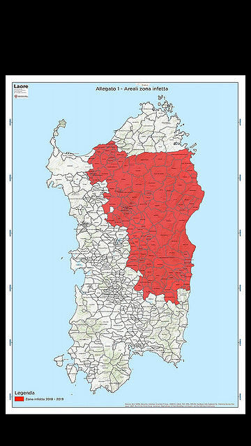 Peste suina, caccia al cinghiale in zona rossa: aggiornati i comuni in area infetta
