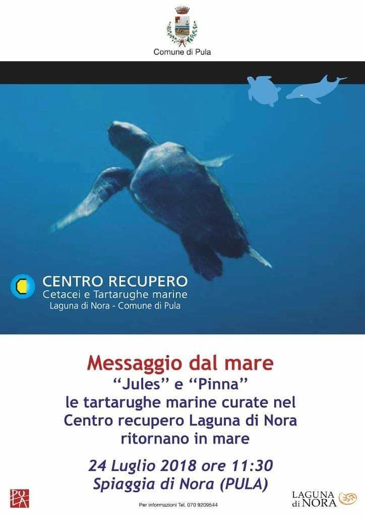 Nora, dopo le cure al centro di recupero Pinna e Jules tornano finalmente nel loro mare