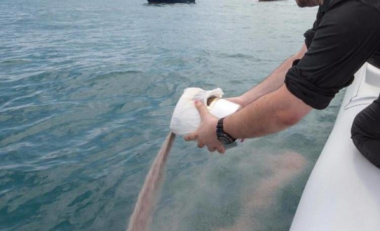 Cagliari, ceneri disperse al Poetto: ora si può