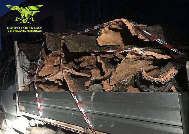 Sardegna, tre arresti e un maxi sequestro di sughero estratto furtivamente per cinque quintali