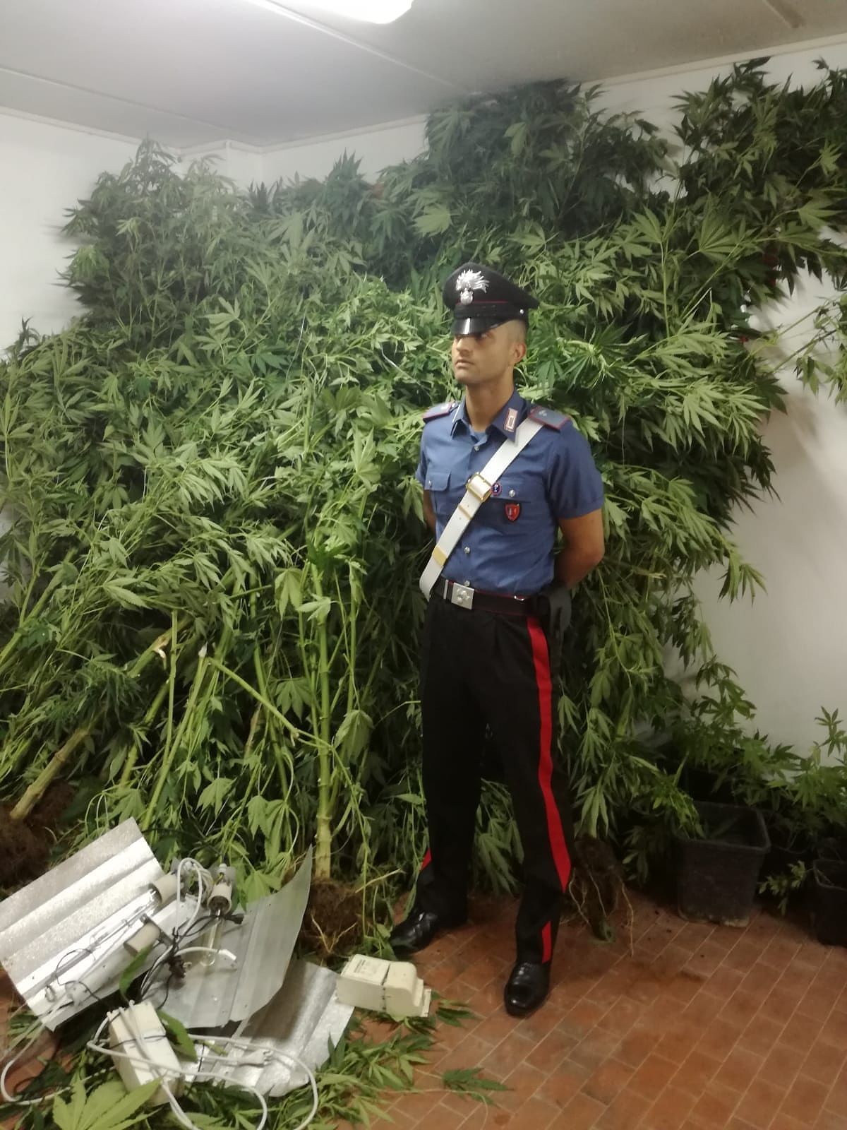 Marijuana nelle zone di intenso turismo, 23enne in manette a Domus de Maria