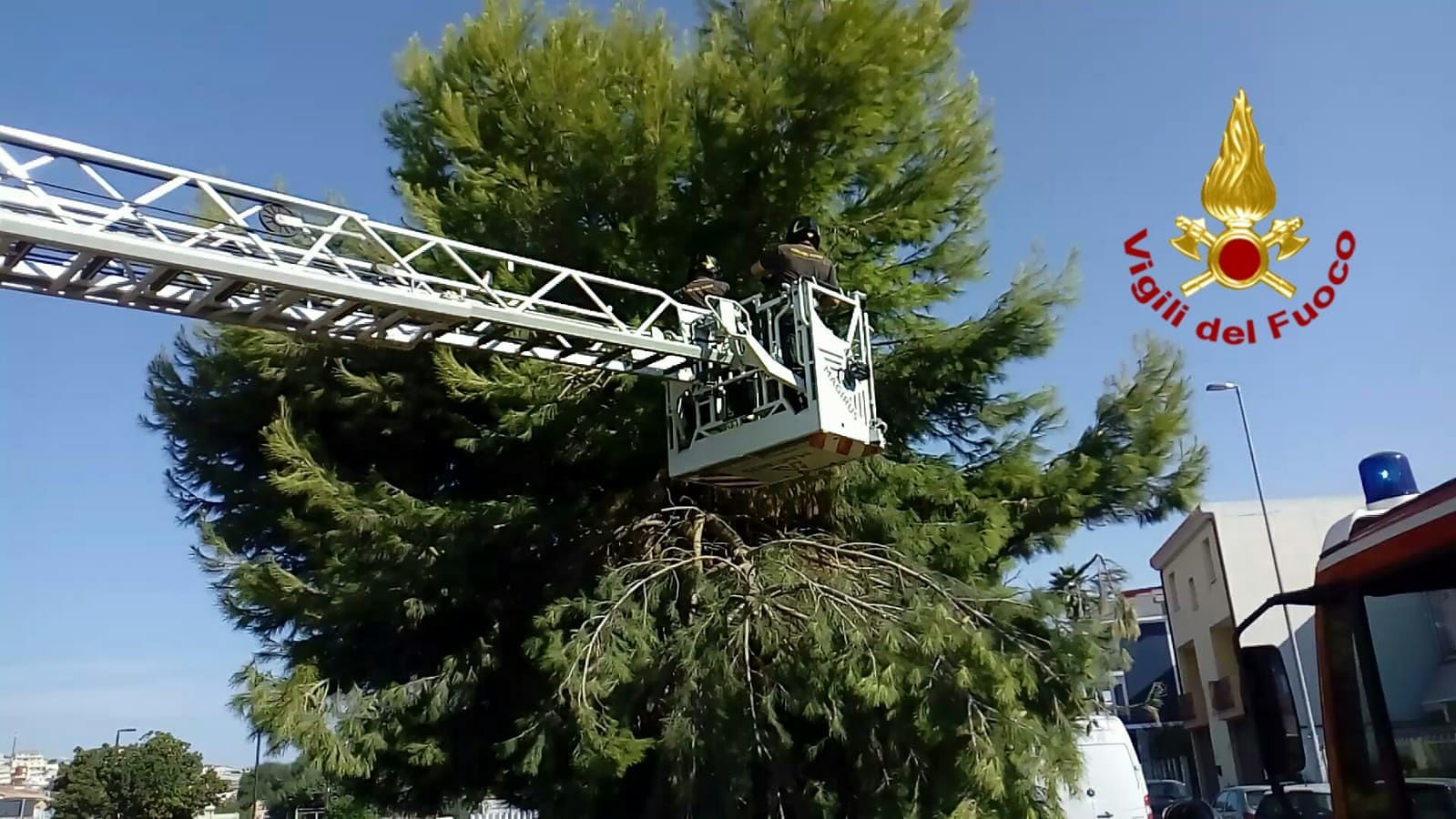 Pericolo a Monserrato per un grosso ramo a rischio crollo, intervengono i vigili del fuoco