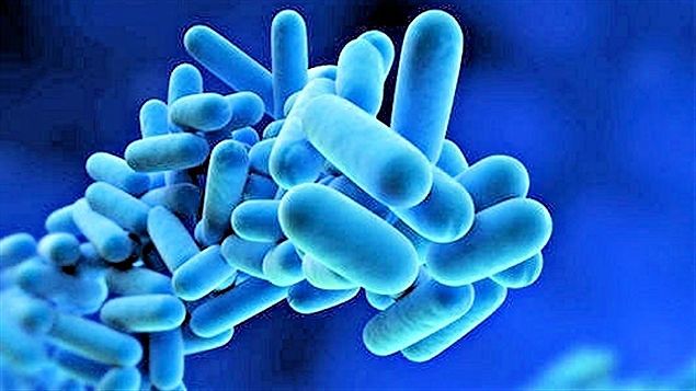 Allarme legionella a Bresso, il numero dei contagiati sale a 40