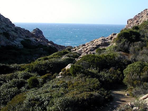 La Corte costituzionale rende più incerta la sorte dei demani civici in Sardegna