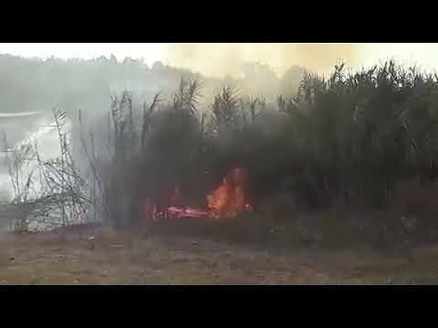 Paura a Sestu, canneto in fiamme