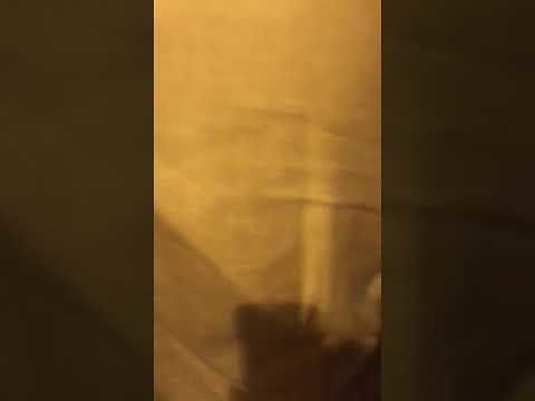 Cagliari, tensione in via Roma: dai lavoratori Aias pioggia di fischi e insulti verso Arru