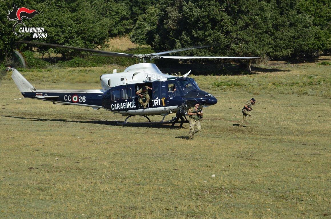 Bitti, 8 mila piante di marijuana nascoste fra le querce: valore 3 milioni di euro