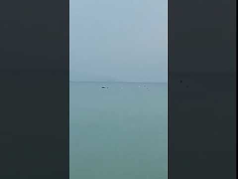 I delfini saltellano sul mare di Baccu Mandara: c’è sempre una rinascita dopo il maltempo (VIDEO)