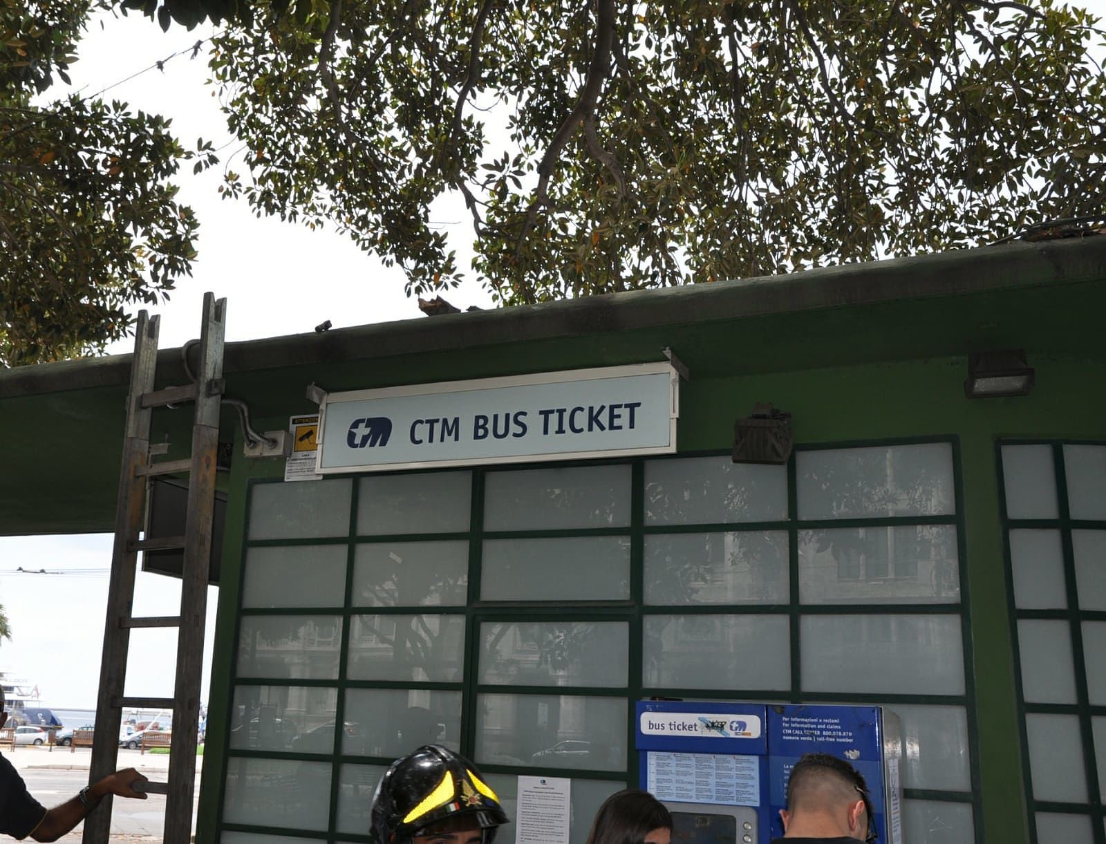 Piazza Matteotti, crolla il ramo di un ficus e colpisce in pieno un autista del Ctm: il ferito è al Brotzu