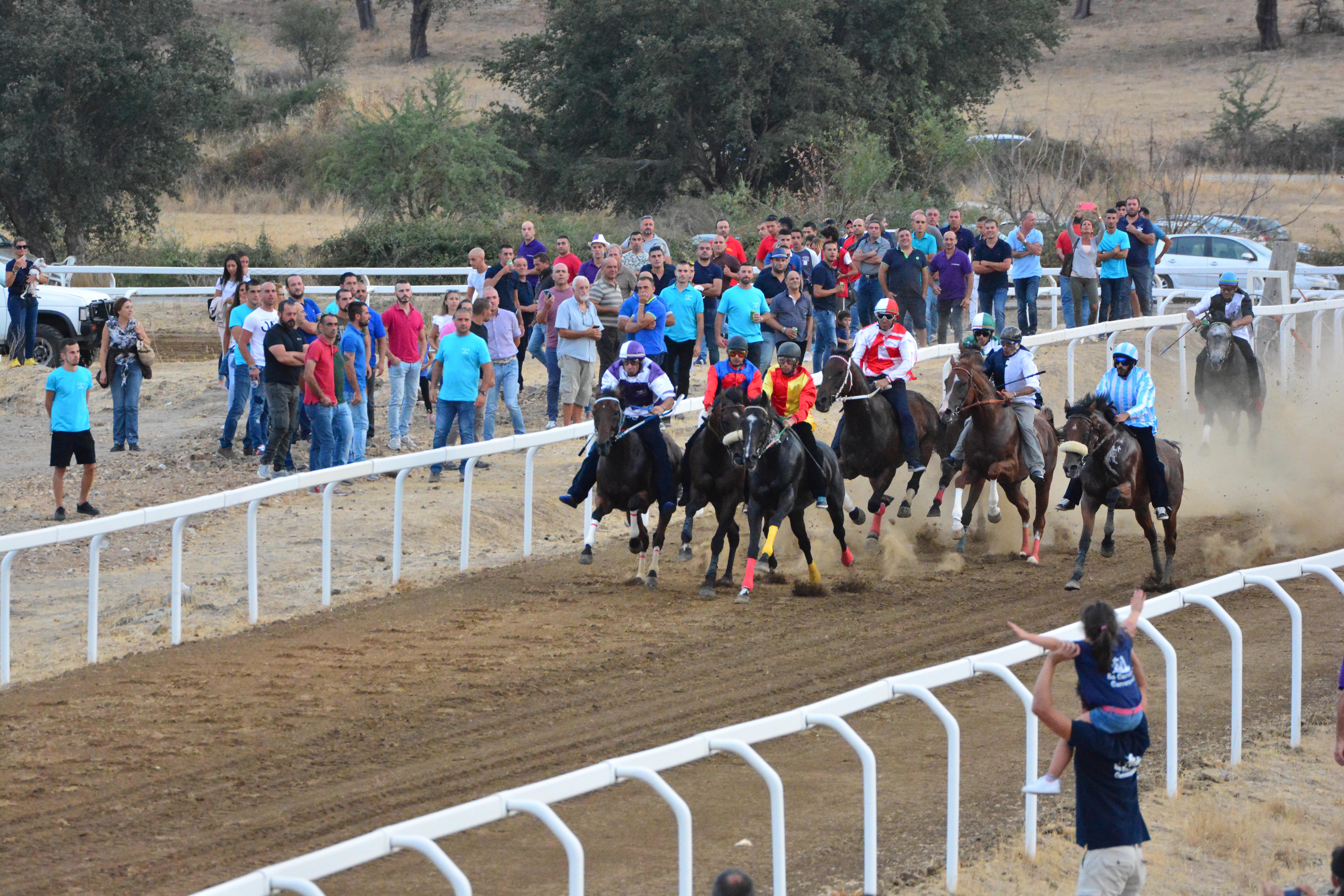 Palio de Sas Carrelas, sfida competizione e tradizione: il grande spettacolo a Bono