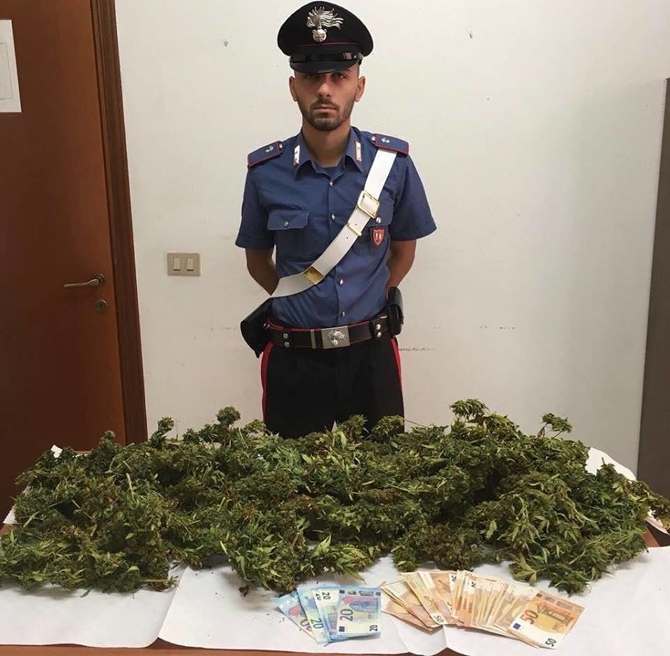 Villa San Pietro, scappa davanti ai carabinieri: arrestato con 60 piante di marjiuana in casa