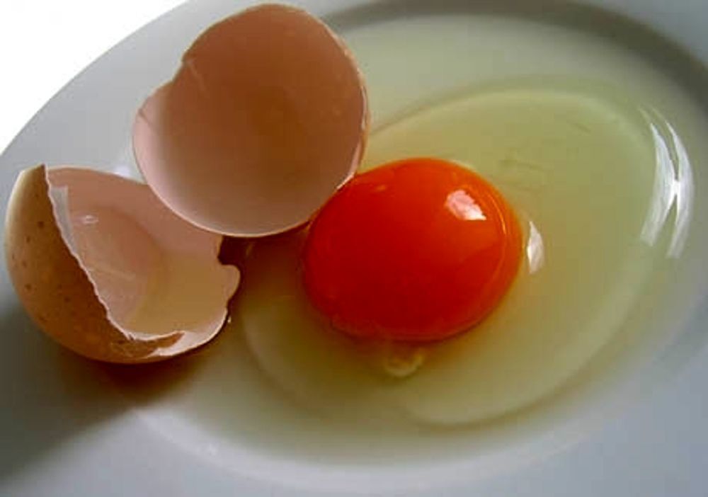 Allarme salmonella nelle uova fresche, il ministero della Salute blocca la vendita