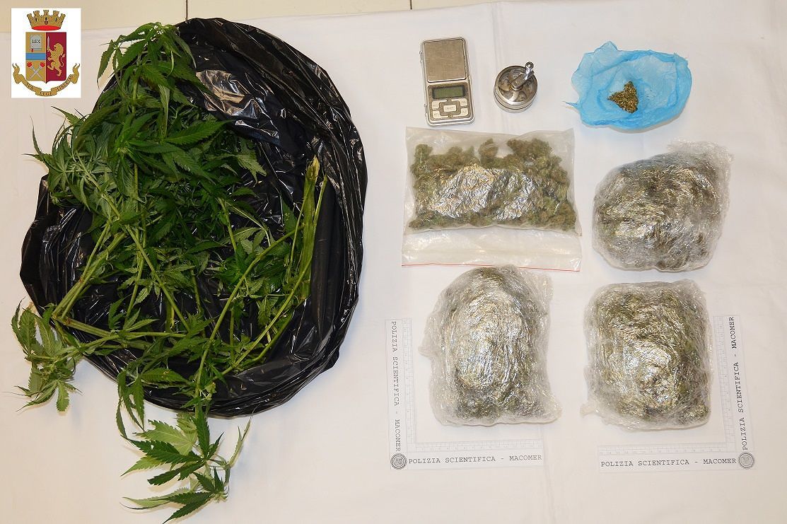 Macomer, cerca di disfarsi di una piantina di cannabis gettandola nel wc: nei guai 18enne