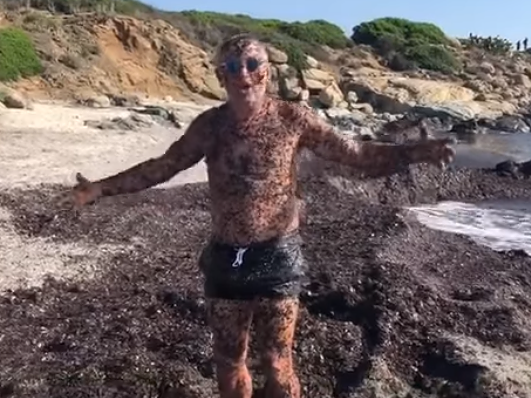 Chef Barbieri in vacanza in Sardegna si tuffa tra le alghe: “Pare che facciano bene”