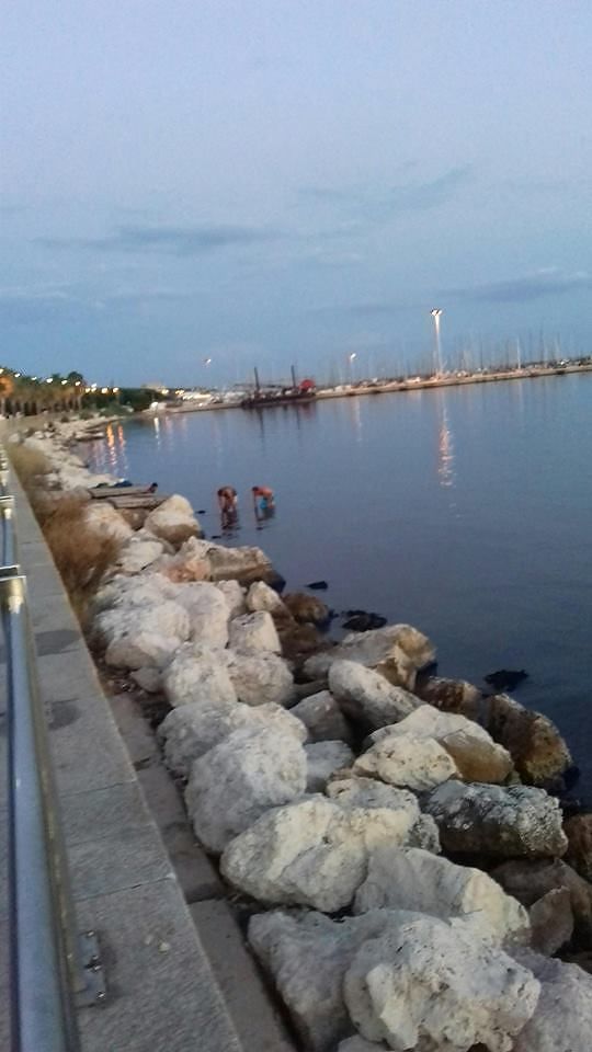 “Cinesi pescano cozze nell’acqua sporca di Su Siccu: spero di non ritrovarle in qualche ristorante..”