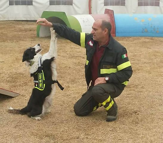 Sergio Mancosu, il vigile del fuoco cagliaritano a Genova con la cagnetta Molly: “Così abbiamo cercato la vita tra le macerie” (VIDEO)