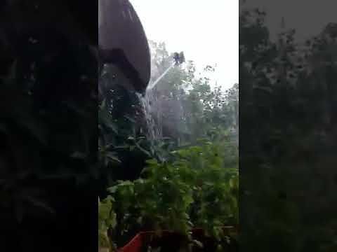 Temporale fortissimo a Elmas, agosto pazzo in Sardegna: il video della nostra lettrice Sandra Puddu