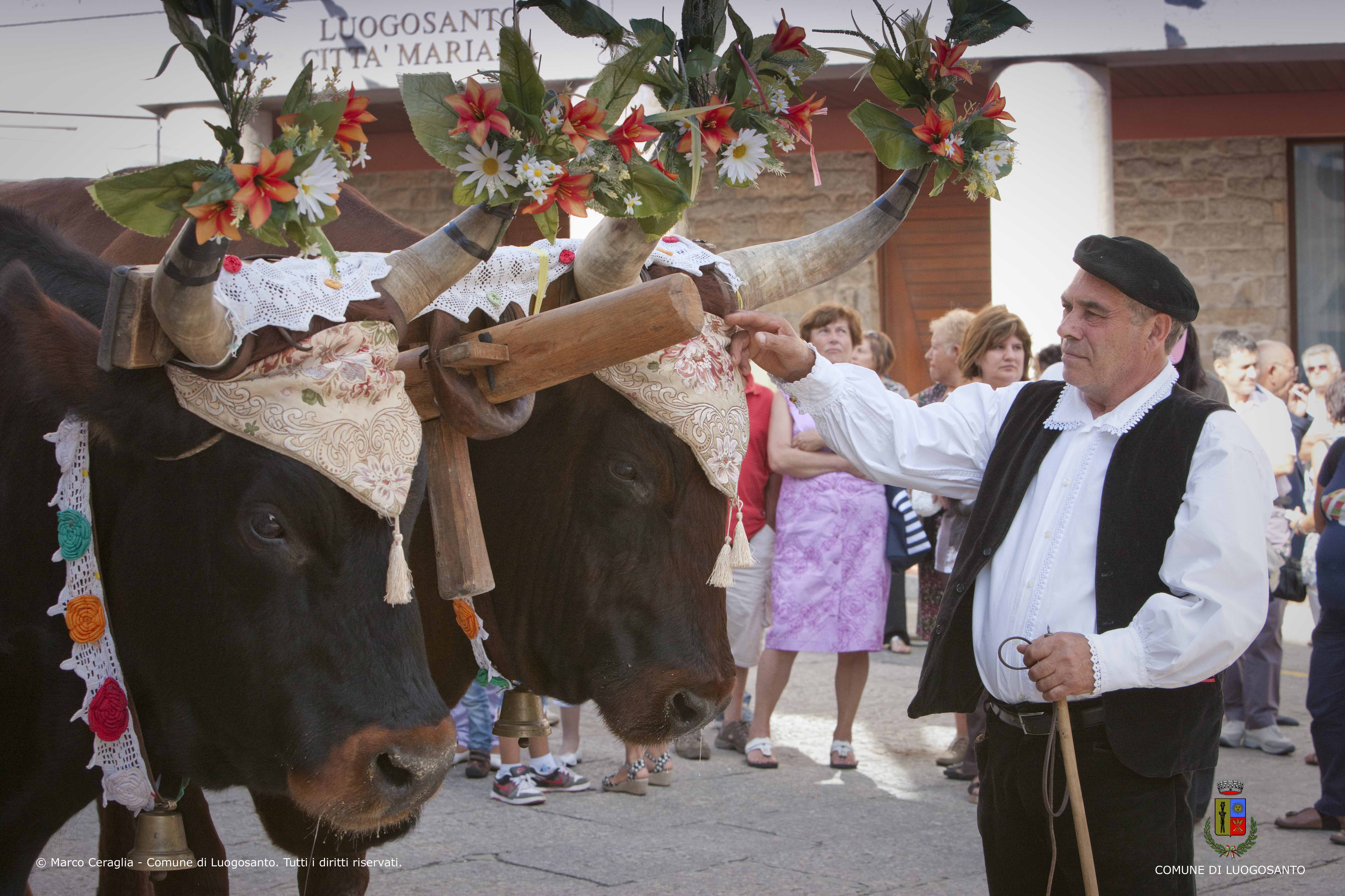 Tradizione e rinnovamento per la grande festa della Gallura