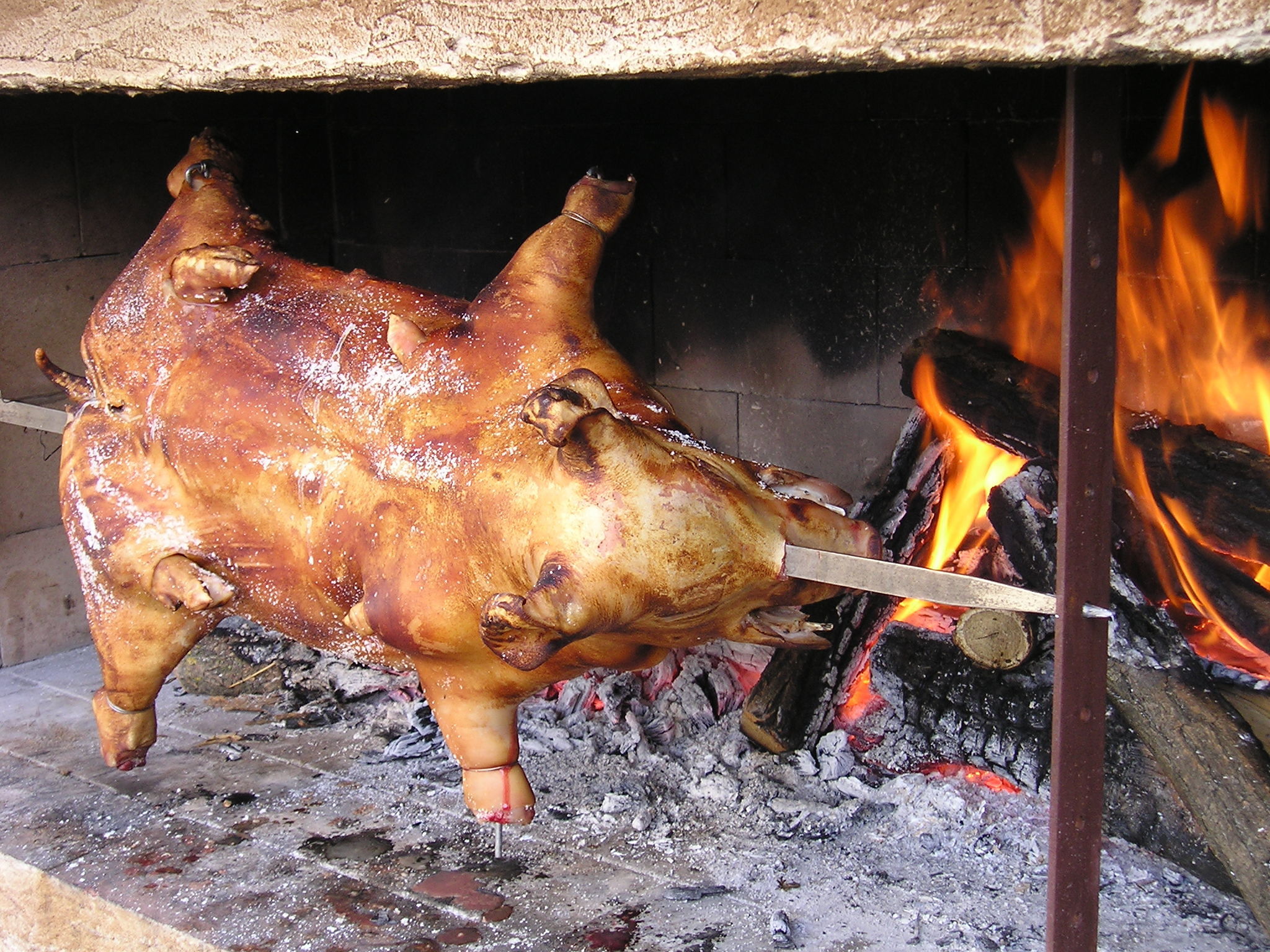 Legge taglia-maialetti, il M5S contro la Regione: “Tradita la fiducia di allevatori e cittadini”