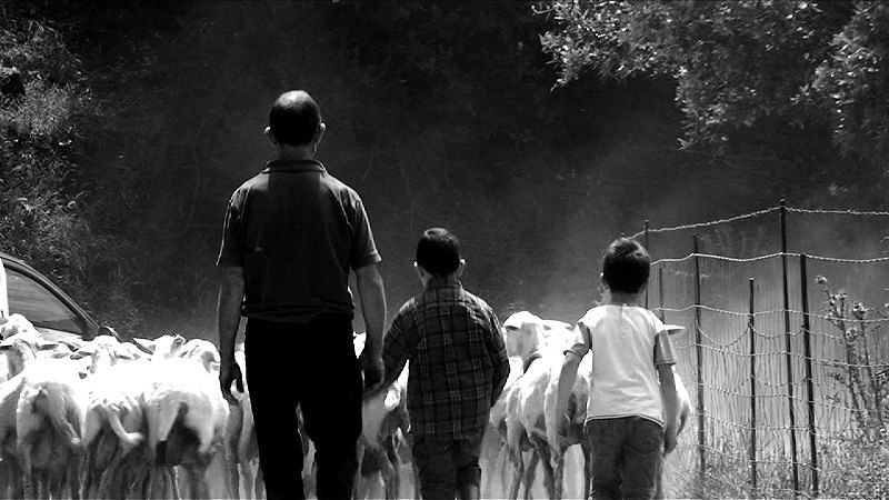 Capo e Croce, il film sulle ragioni dei pastori sardi sbarca in Francia