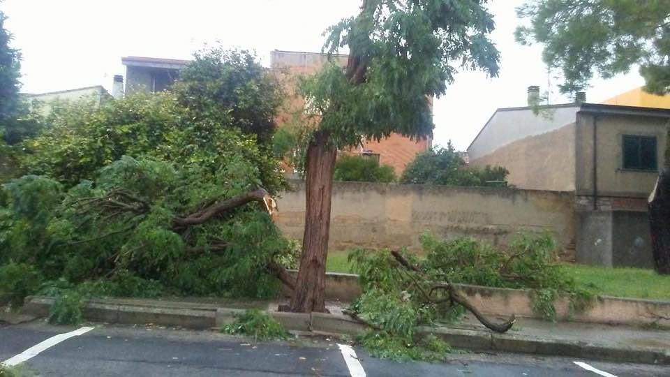 Maltempo in Sardegna, conta dei danni a Guasila: “Una stagione al contrario che continua a sorprenderci”