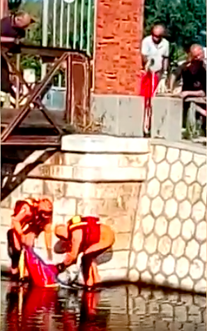 Cagliari, cade in un canale alle Saline: cane salvato dai vigili del fuoco