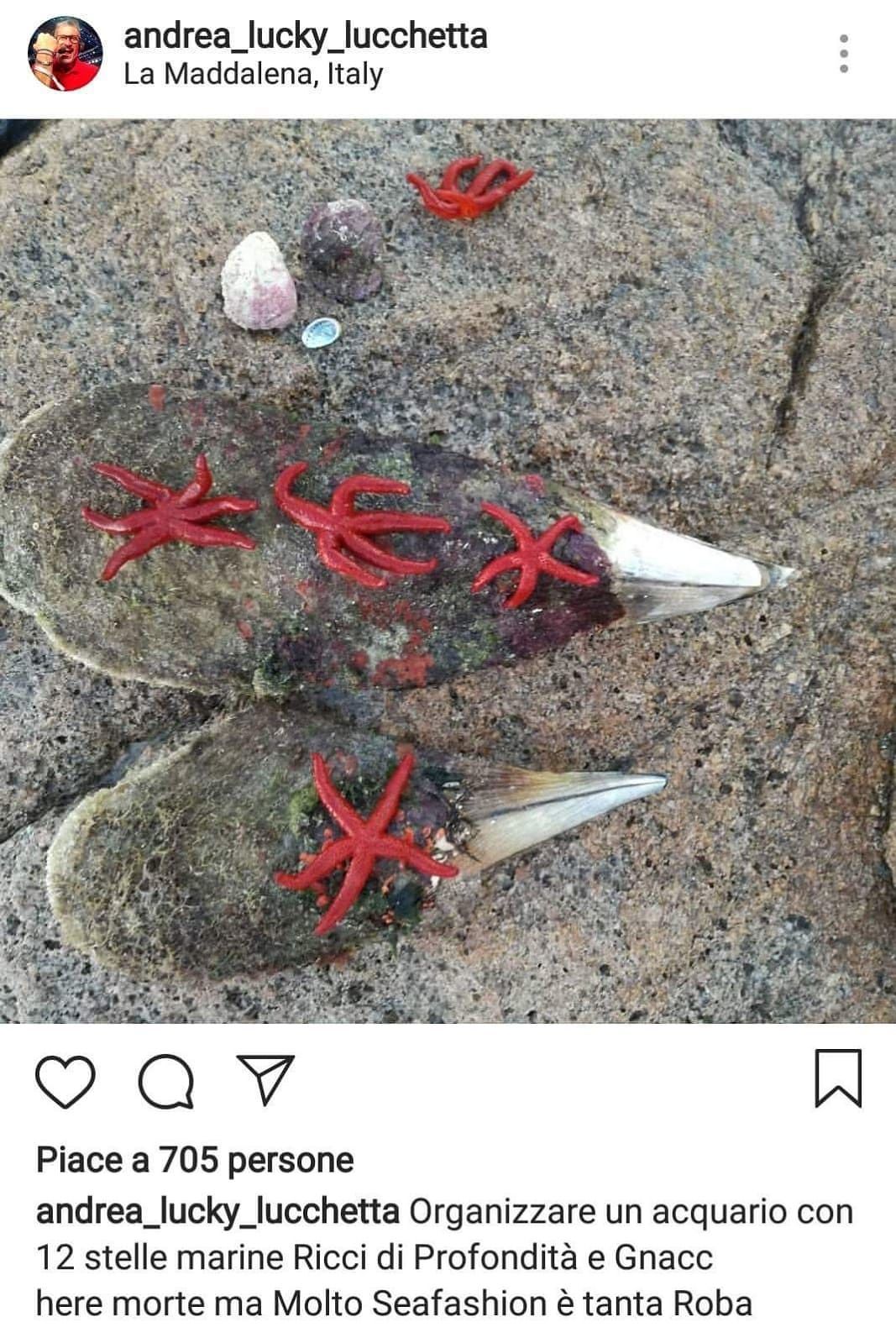Sardegna, stelle marine e nacchere pescate e postate su Instagram: bufera su Andrea Lucchetta