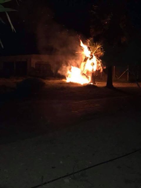 Poetto, palme in fiamme nella notte vicino alla Marinella: i vigili domano l’incendio