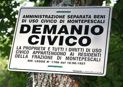 Funghi, la raccolta nelle aree a uso civico è riservata ai soli cittadini titolari dei diritti