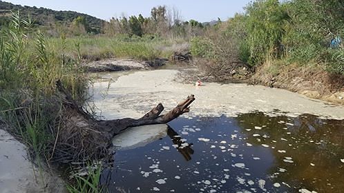 Allarme a Tuerredda: mosconi, liquami e schiuma accanto alla spiaggia