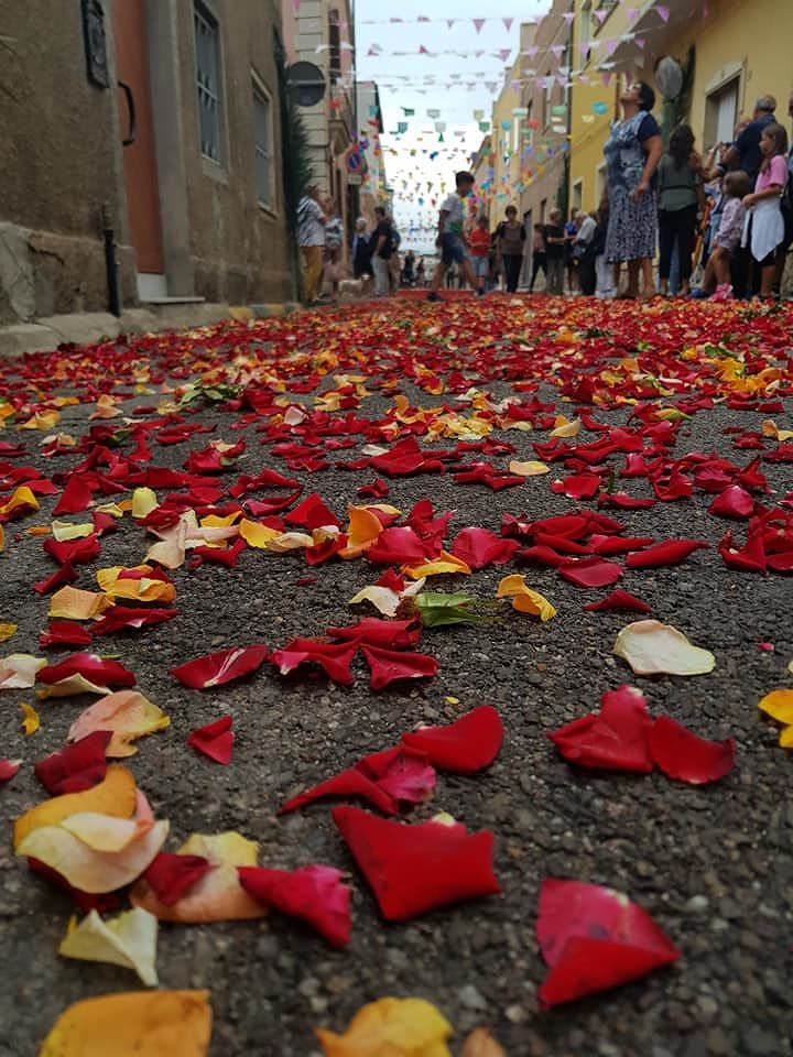 Monserrato, disabile aggredita alla processione. I devoti: “Ci scusiamo, ma niente colpi”