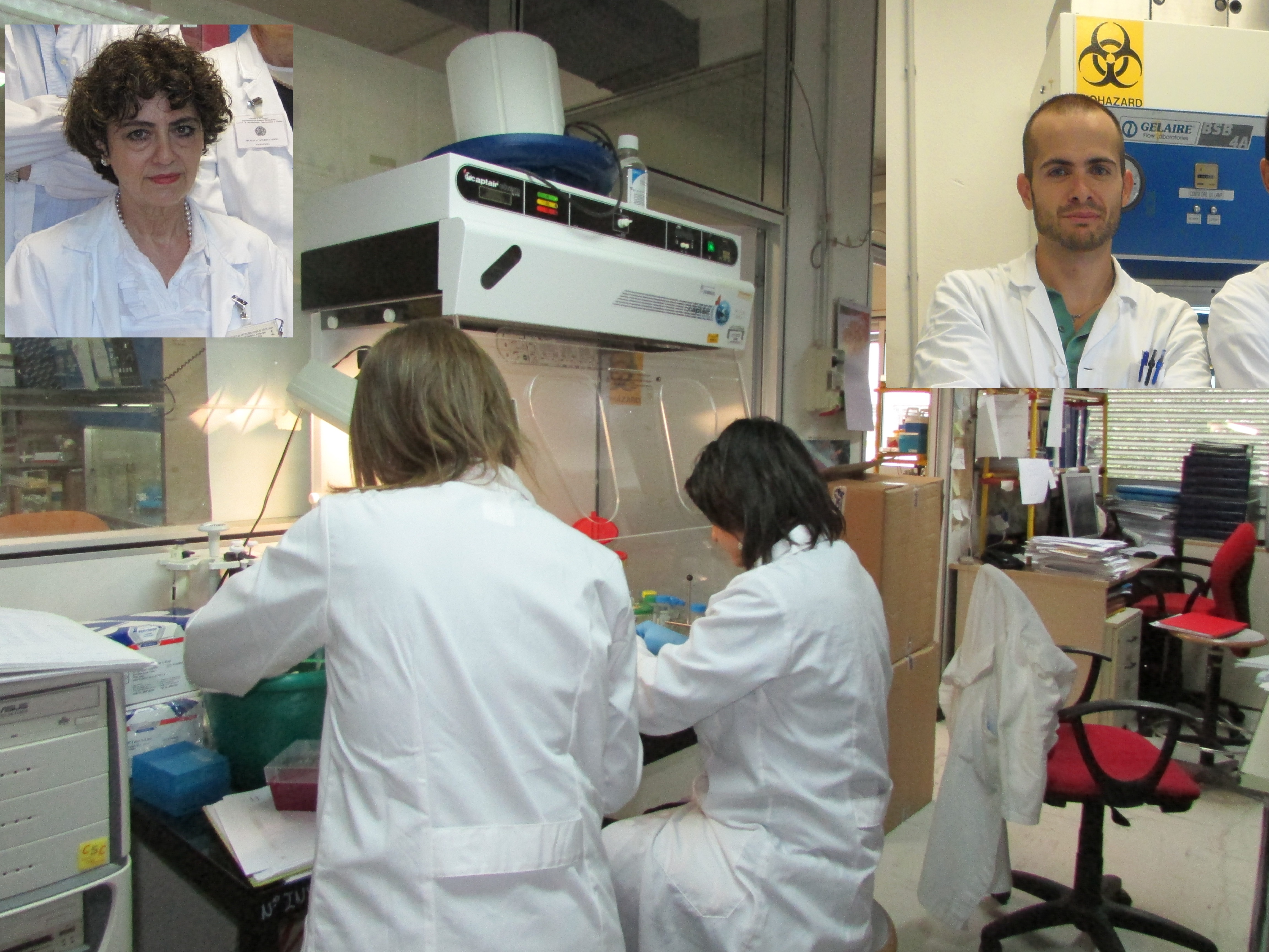 SLA, uno studio dell’Università di Sassari contribuisce a far luce sull’origine della malattia