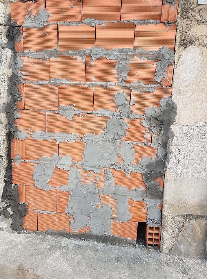 “Gattini murati vivi dentro un rudere ad Assemini, rischiano di morire nell’indifferenza di tutti”