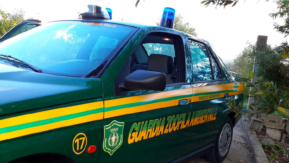 Cagliari, sottopone il cane a sevizie: un uomo denunciato dalle guardie zoofile