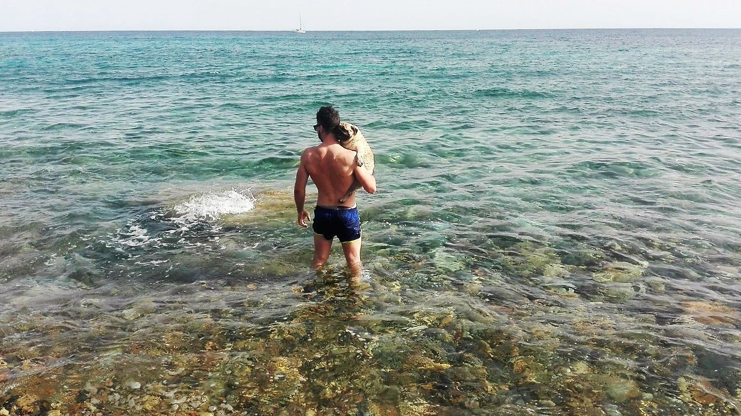 Beneficenza a Is Canaleddus Bau Beach: una giornata per aiutare i trovatelli