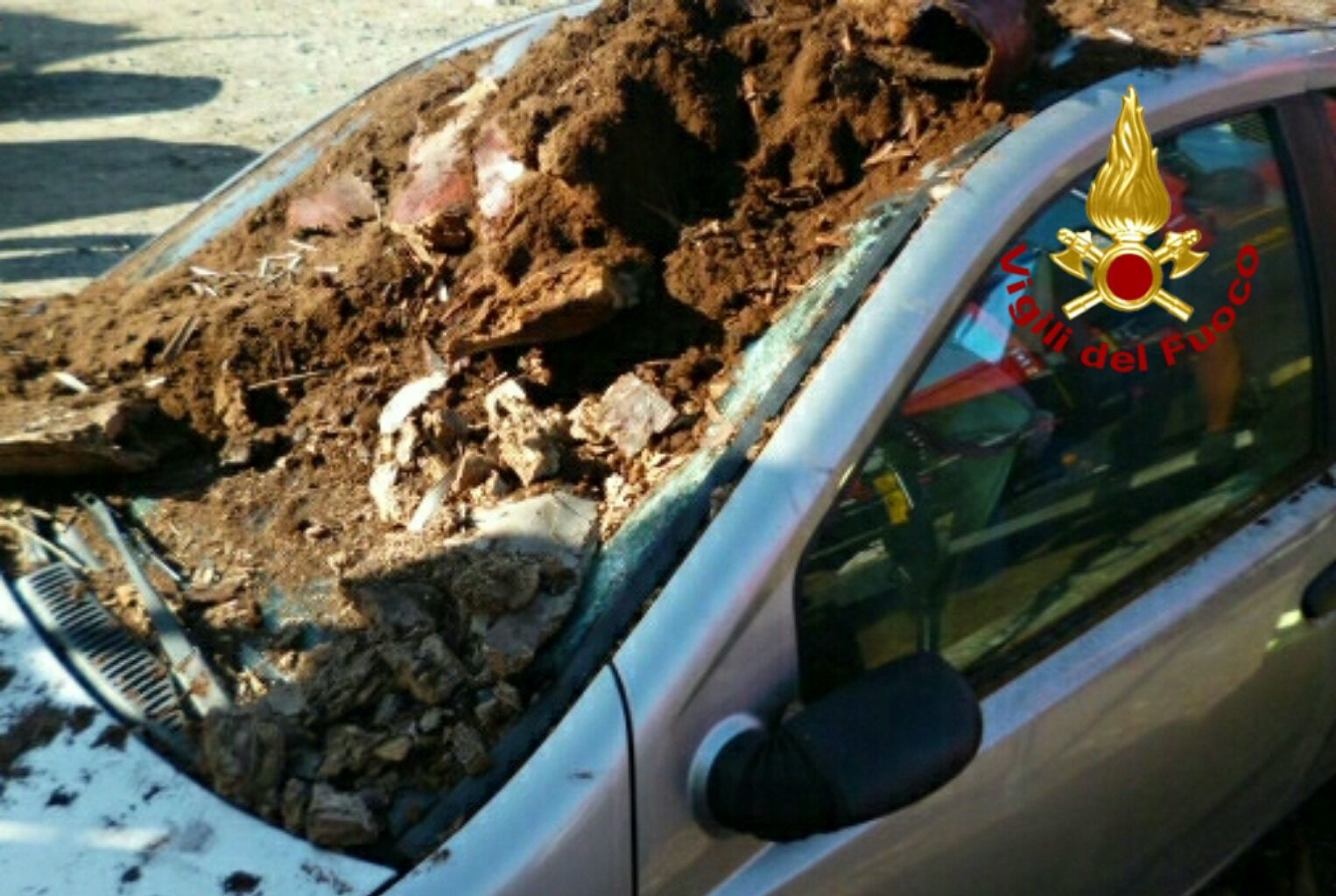 Cagliari, palma cade sopra un’auto in sosta: paura in via Calafati