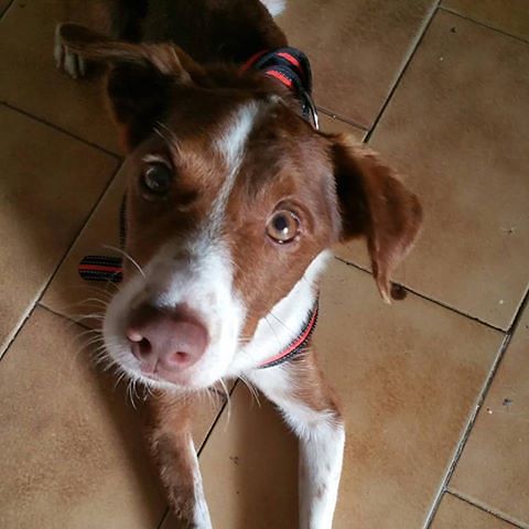 Aiki, due occhi che chiedono solo di poter dare e ricevere amore