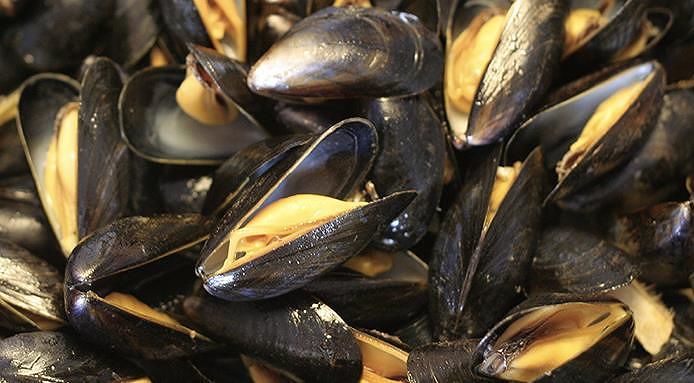 Cozze refrigerate, allarme Escherichia coli: molluschi ritirati in Italia