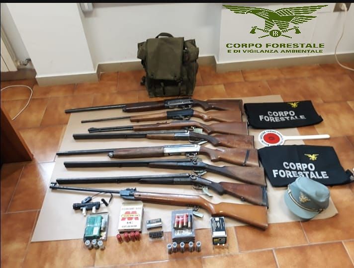 Cacciavano i cinghiali di notte, due bracconieri denunciati dalla Forestale a Villasalto