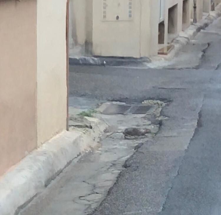 Topi a spasso per Monserrato: “La disinfestazione non funziona?”