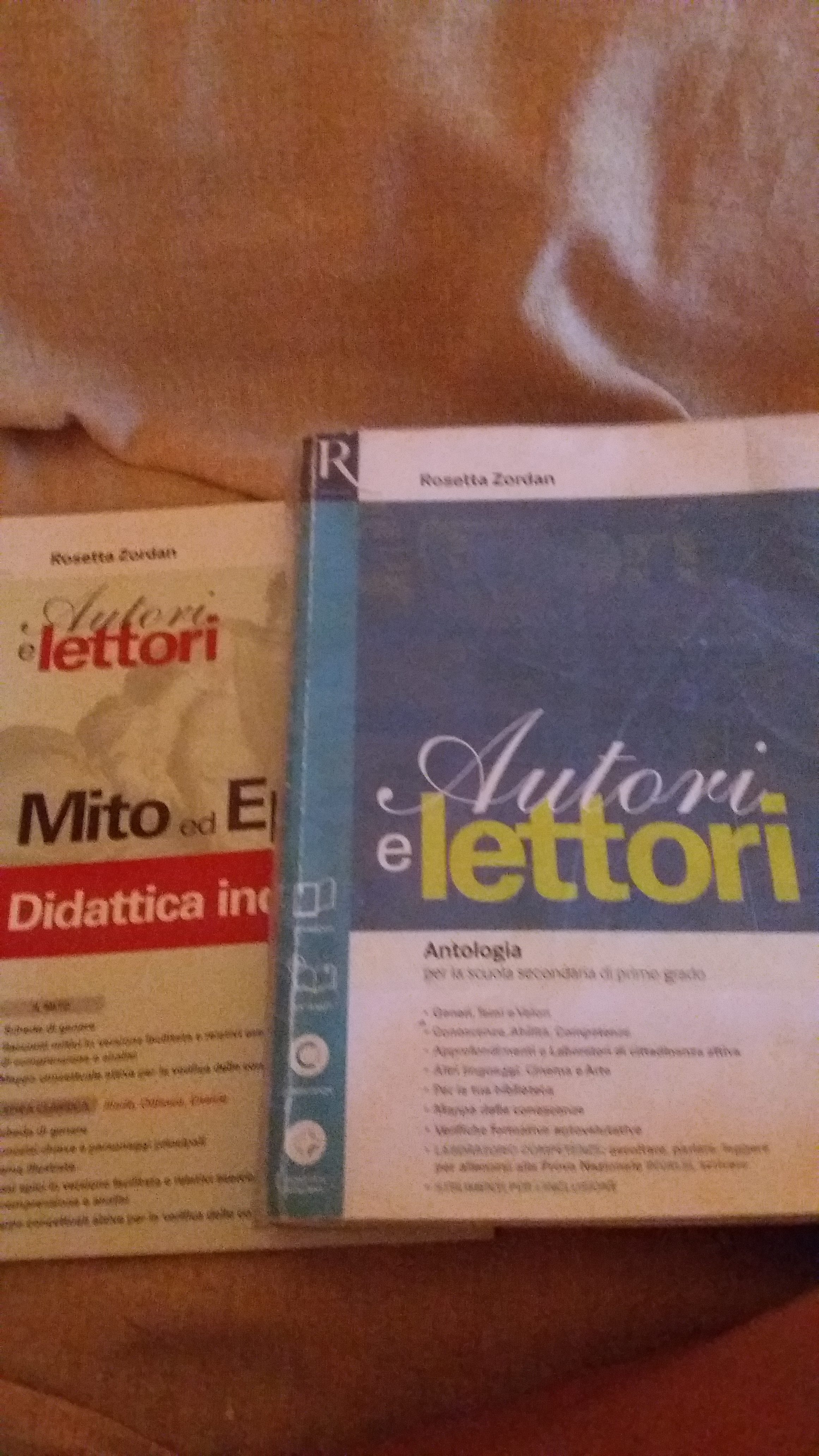 Vendo antologia prima media