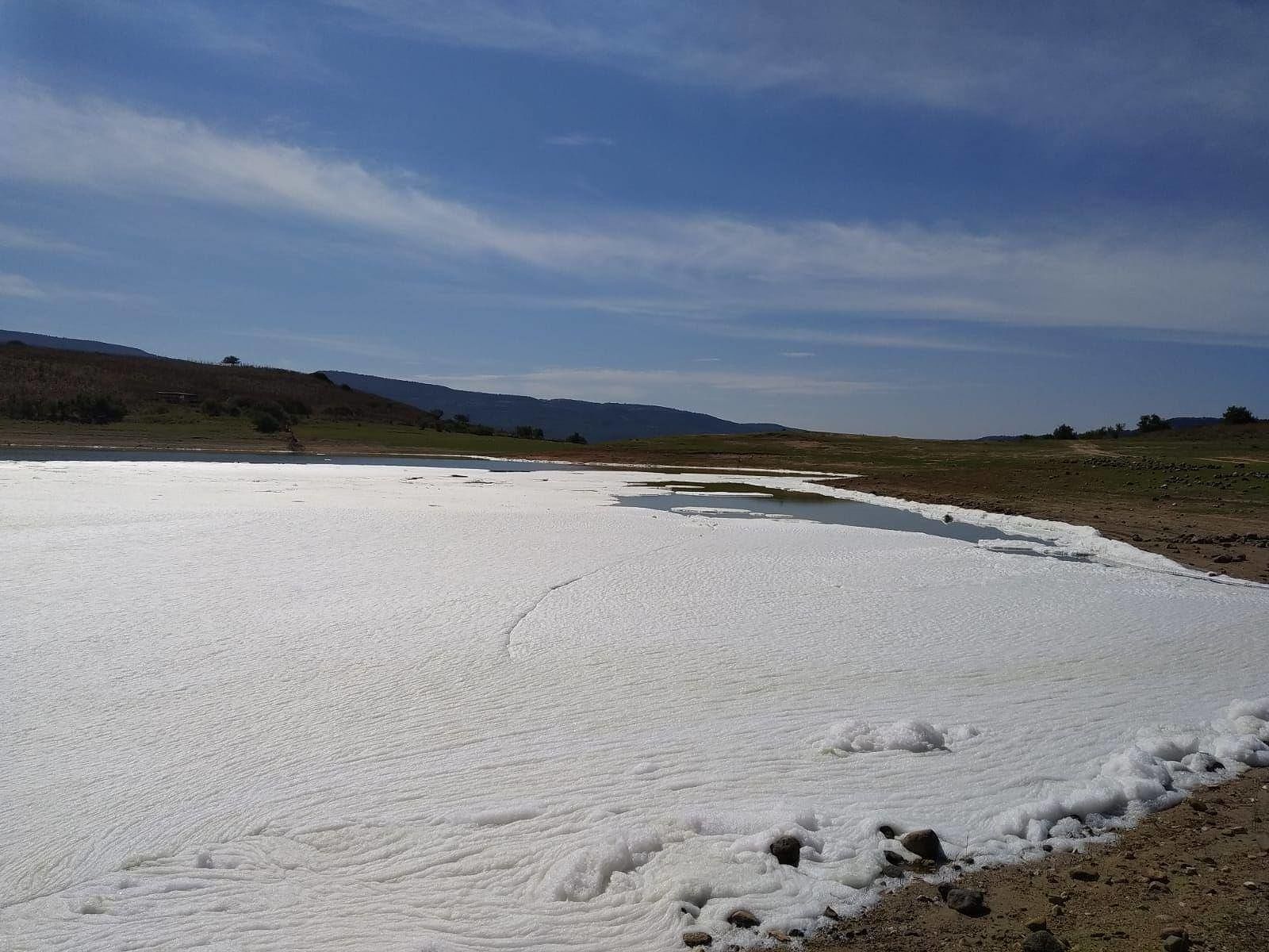 “L’onda bianca che ha coperto il lago Omodeo è causata da scarichi di depurazione: è di una gravità inaudita”