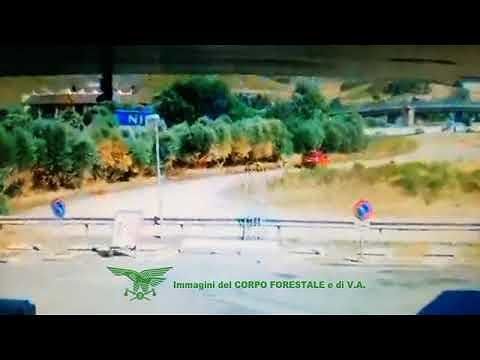 Serrenti, individuato presunto incendiario: pregiudicato di 68 anni rischia 10 anni di carcere