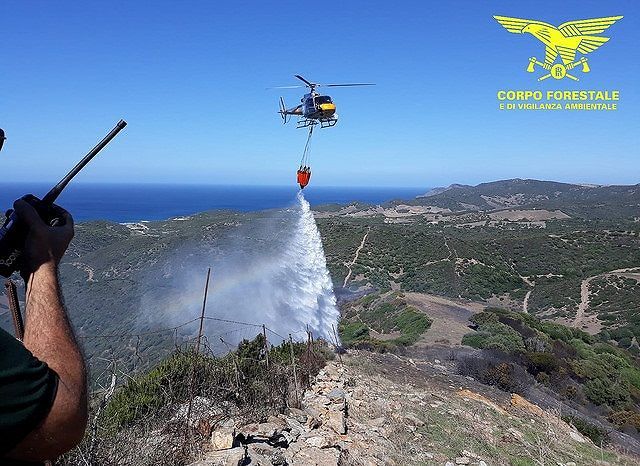 Incendi in Sardegna: canneto in fiamme a Guspini
