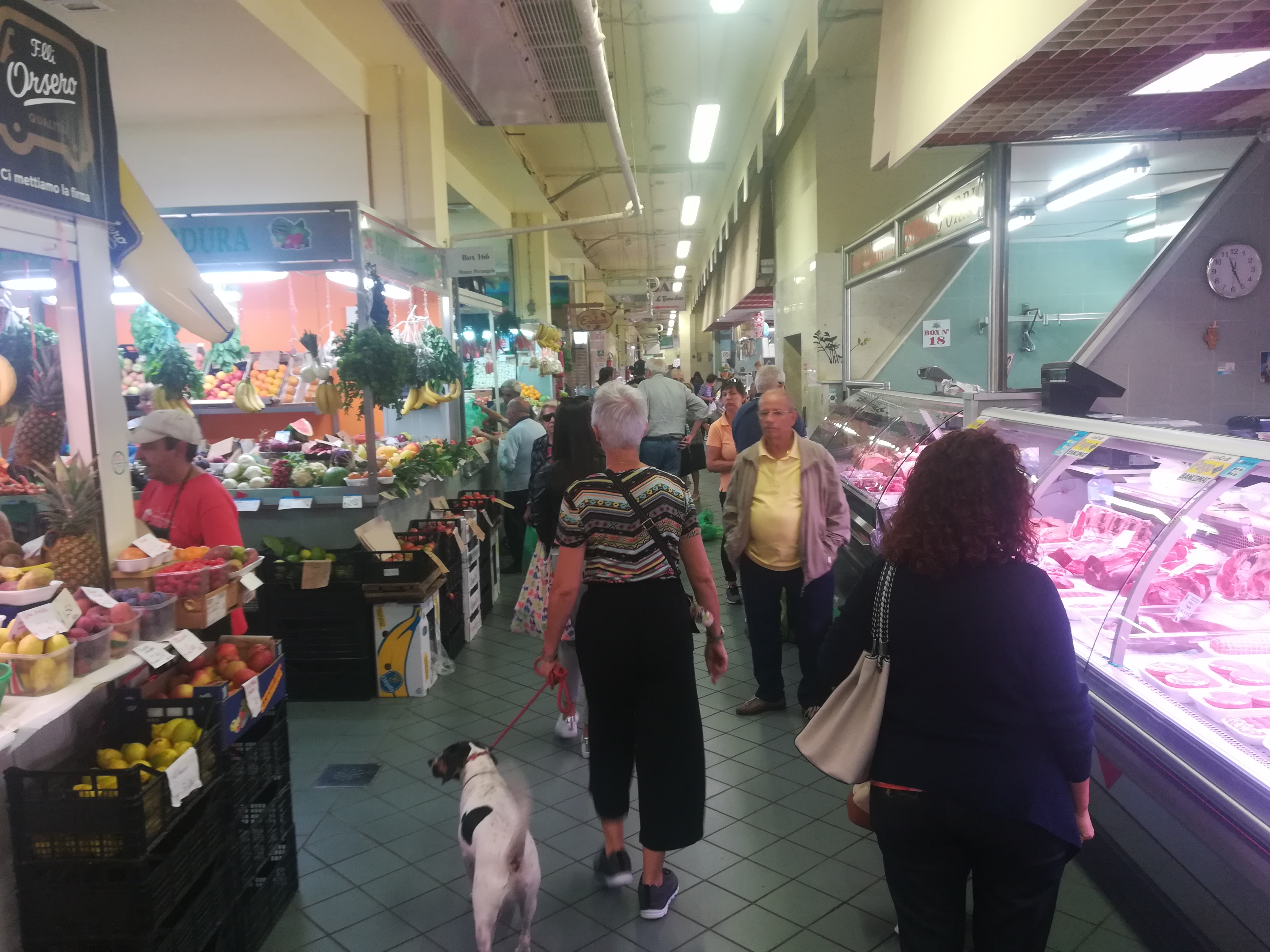 Reddito di cittadinanza, a Cagliari esultano giovani e pensionati: “Potremo vivere più sereni”