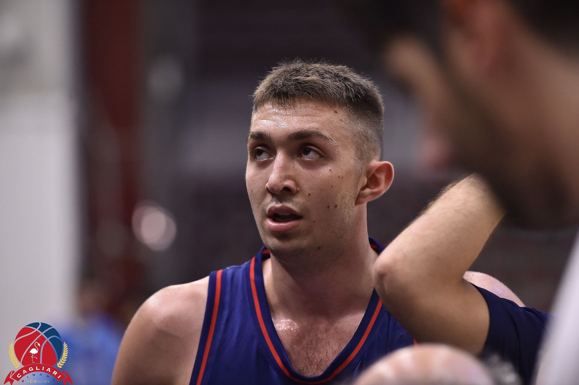 Bentornata Hertz: domenica l’esordio al Palapirastu contro Forlì