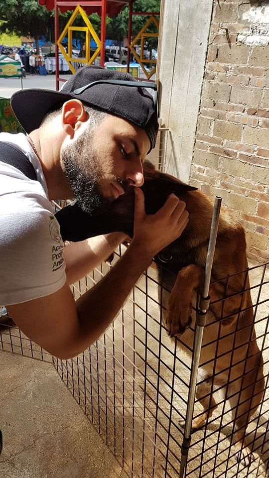 Davide Acito, l’angelo che salva cani e gatti in Cina: “Li mangiano perchè credono di diventare più virili”