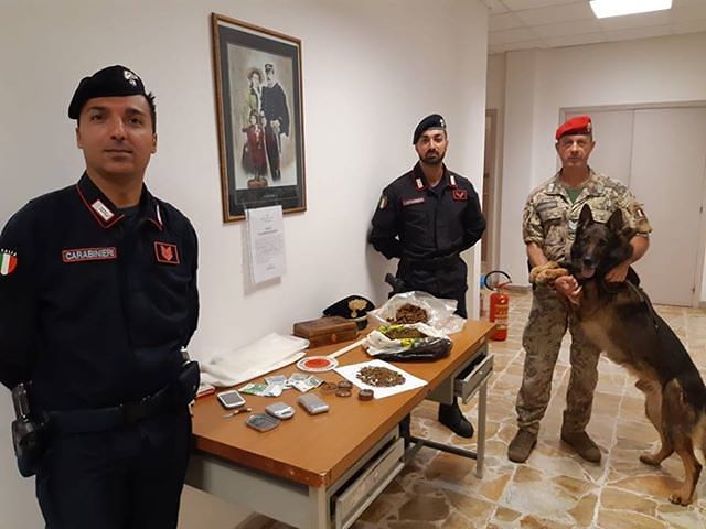 I cani antidroga scovano a una donna spacciatrice a Guspini: arrestata dai carabinieri